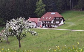 Ferienwohnung Ringwald