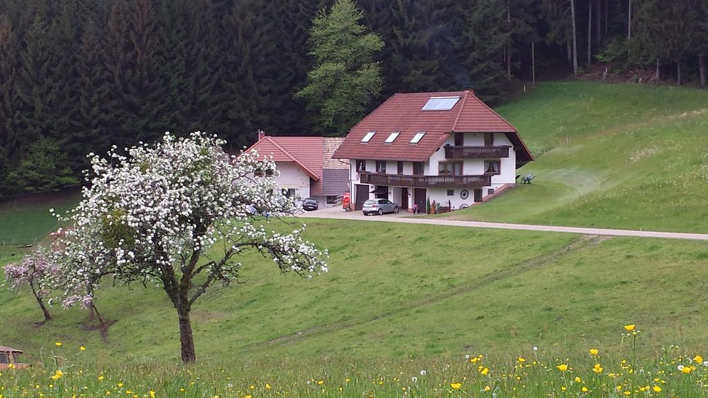 Ferienwohnung Ringwald Biederbach Baden-Württemberg Exterior foto